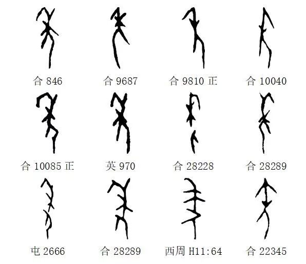 甲骨文每周识字48鼠年