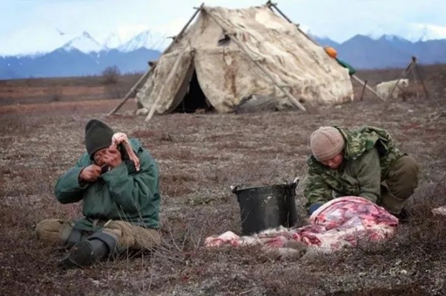 楚科奇半岛的冰原楚科奇半岛纬度较高,整体处于树木线以北,但其纬度又